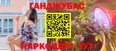 индика Ижевск