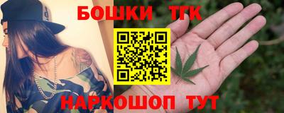 индика Ижевск