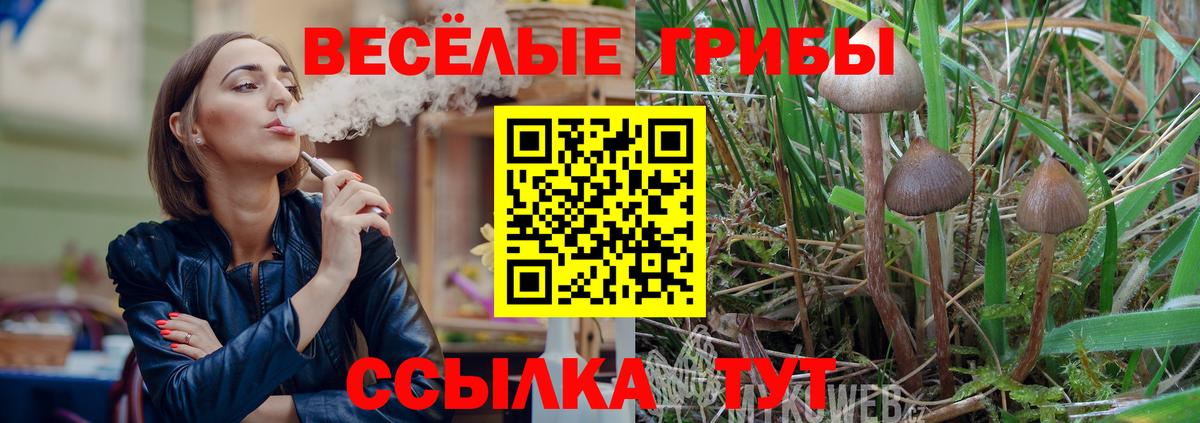 Псилоцибиновые грибы прущие грибы Новосибирск
