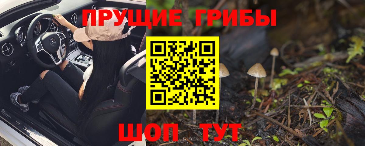 Псилоцибиновые грибы мухоморы  Вход с VPN  Новосибирск 