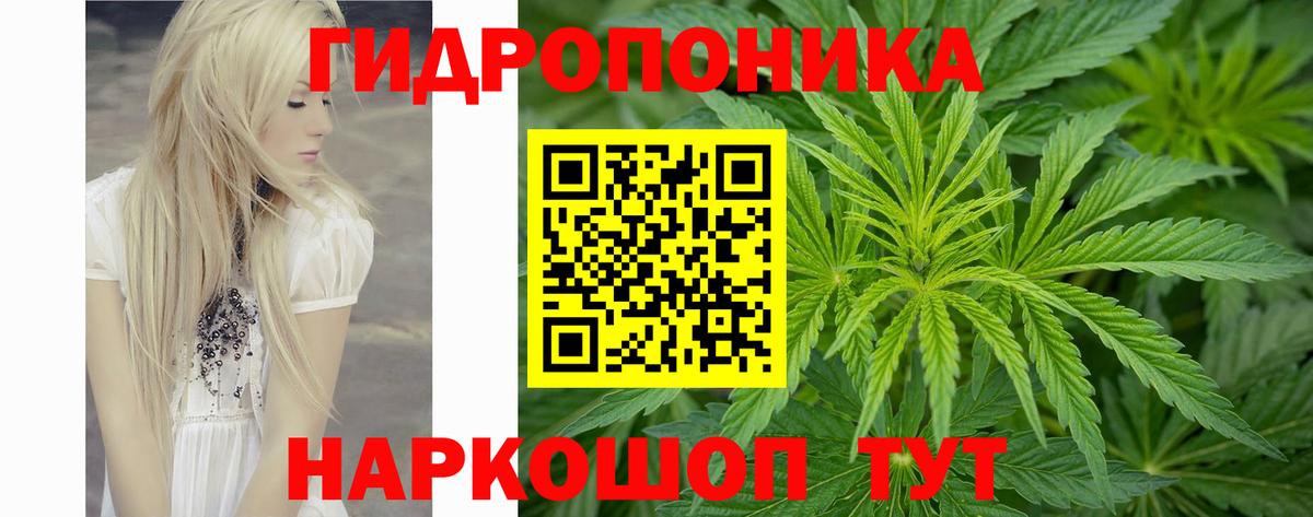 Каннабис гибрид  Бошки Шишки OG Kush  Вход с VPN  МАРИХУАНА марихуана  Новосибирск 